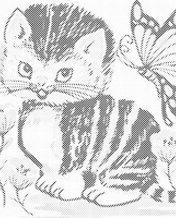 Kreativt Malersæt med Kat og Sommerfugl – Udforsk Kunst!