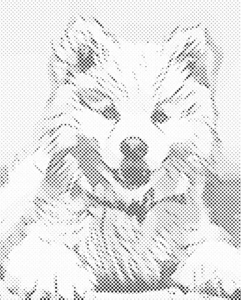 Mal Med Prikker: Kreativ Hund – Kunstpakke Tilbud!