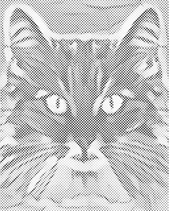 Kreativt Malersæt til Katteelskere – Fantastisk Tilbud!