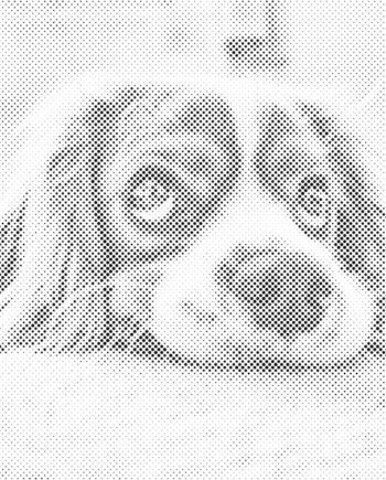 Mal Med Prikker: Kreativ Hund - Slip Fantasien Fri!