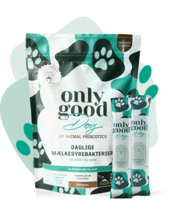 Onlygooddog Probiotiske Portioner til Hunde - Fantastisk Tilbud!