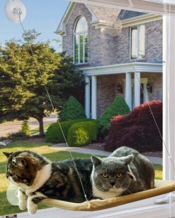 Luksuriøs Vinduesseng til Katte – Happypet Tilbud!