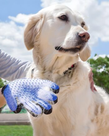 Effektiv Børstehandske til Hunde og Katte – Fjern Løse Hår