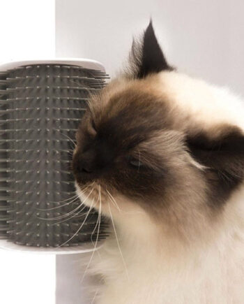 Hjørnemassagebørste til kat - Forkæl din kat med velvære!