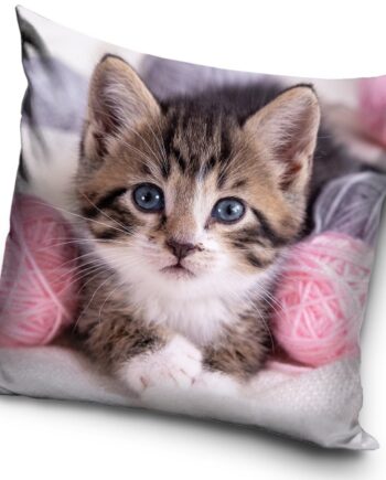 Happypet Kattepudebetræk – Stilfuld Komfort til Din Kat