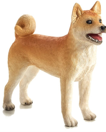 Mojo Shiba Hund - Kærlig familiehund fra Japan