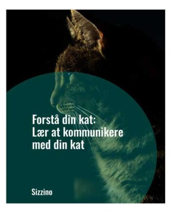 Forstå Din Kat: Lær Kommunikere Med Din Kat - Droneland Happypet