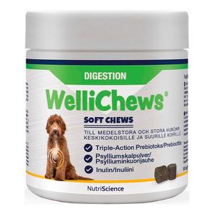 Swedencare Wellichews Digestion Tyggetabeletter Til Hund Stk - Swedencare Happypet  - 5391475003081