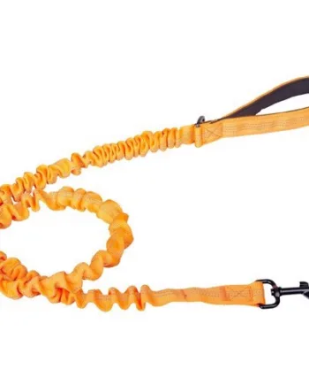 Companion Elastik Hundesnor Orange 120 - Companion Happypet  - 5701883423546