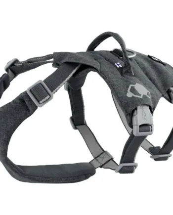 Sort Hurtta Safeguard Eco Sele Blackberry - Hurtta Happypet