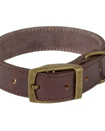 Companion Læderhalsbånd Mørkebrun - Companion Happypet