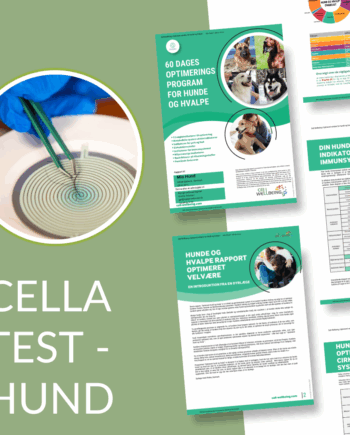 Cella Test Hund - Cella Test Happypet
