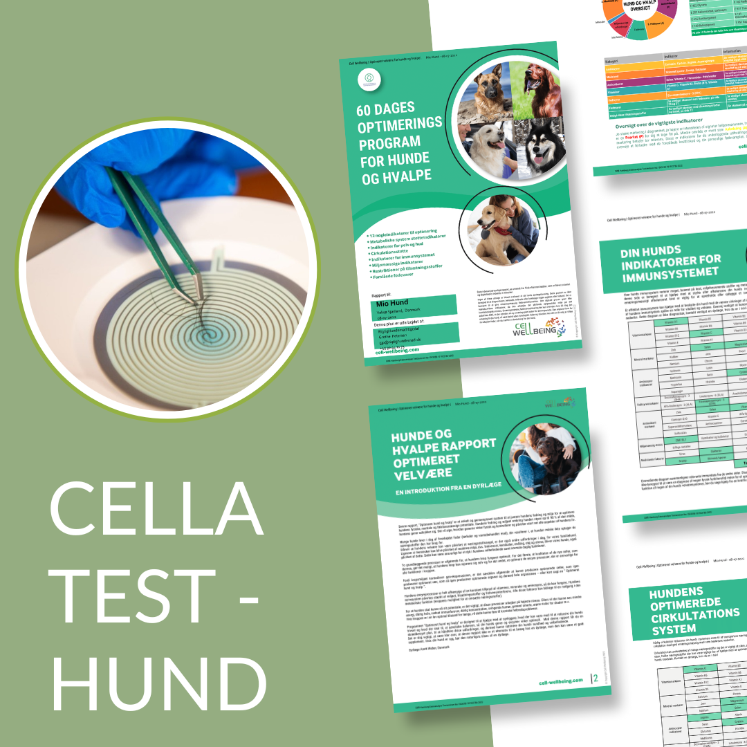 Cella Test Hund - Cella Test Happypet