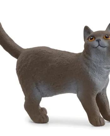 British Shorthair Kat - Schleich Happypet  - 4059433789378