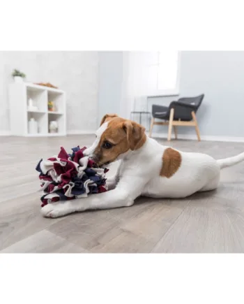 Snusebold Til Hunde Diameter - Trixie Happypet  - 4011905320472