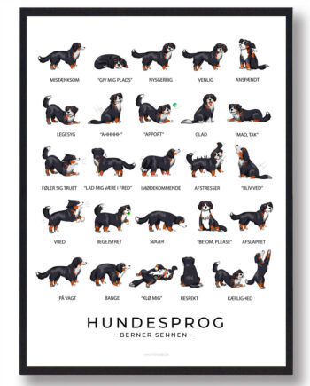 Berner Sennen Hundesprog Plakat - Plakatdyr.dk Happypet