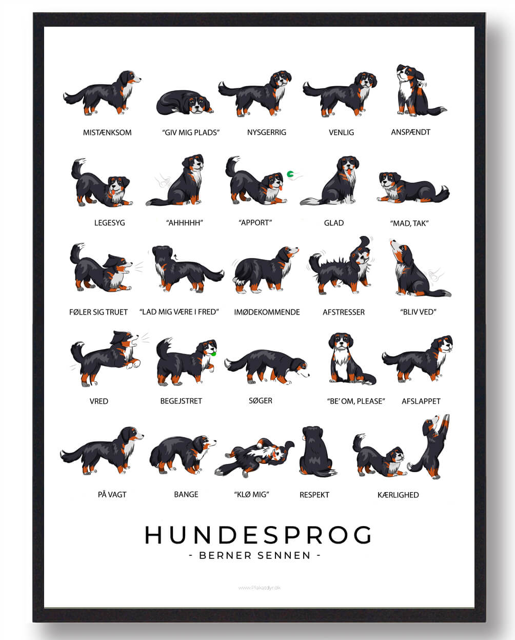 Berner Sennen Hundesprog Plakat - Plakatdyr.dk Happypet