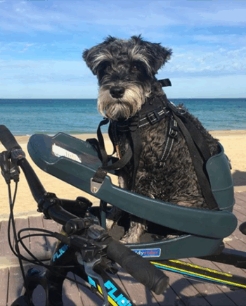 Buddyrider Cykelsæde Til Hund Grå - Buddyrider Happypet  - 51497139162