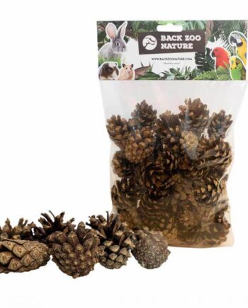 Back Zoo Nature Fyrretræs Kogler - Back Zoo Nature Happypet  - 8784251816833