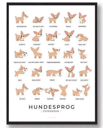 Chihuahua Hundesprog Plakat - Plakatdyr.dk Happypet