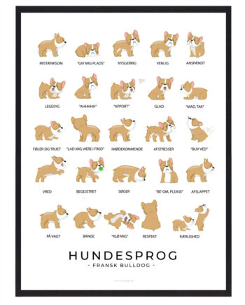 Fransk Bulldog Plakat Hundesprog - Plakatdyr.dk Happypet