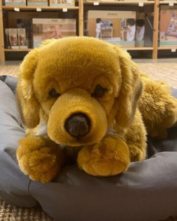 Stor Golden Retriever Bamse Legetøjshund Ligner ægte Hund - Teddy Hermann Happypet  - 4004510919421