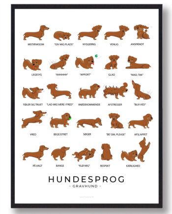 Gravhund Plakat Hundesprog - Plakatdyr.dk Happypet