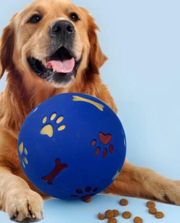 Hunde Aktivitetsbold Til Glæde Gavn For Din Hund - Satana.dk Happypet