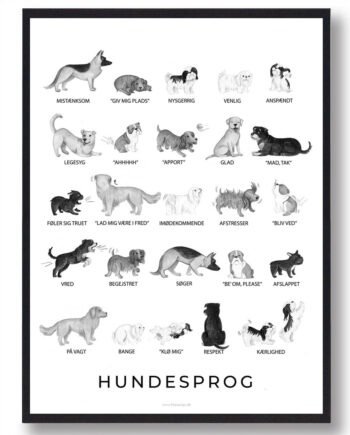 Hvid Hundesprog Sort Plakat - Plakatdyr.dk Happypet