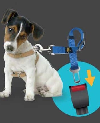 Animals & Car Sele - Animals Happypet  - 3221321700043