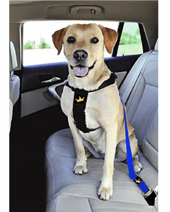 Animals & Car Hundesele - Animals Happypet  - 3221321700203