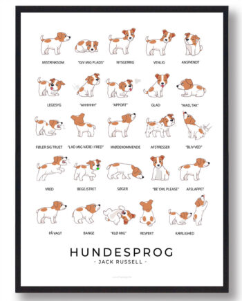 Jack Russell Hundesprog Plakat - Plakatdyr.dk Happypet