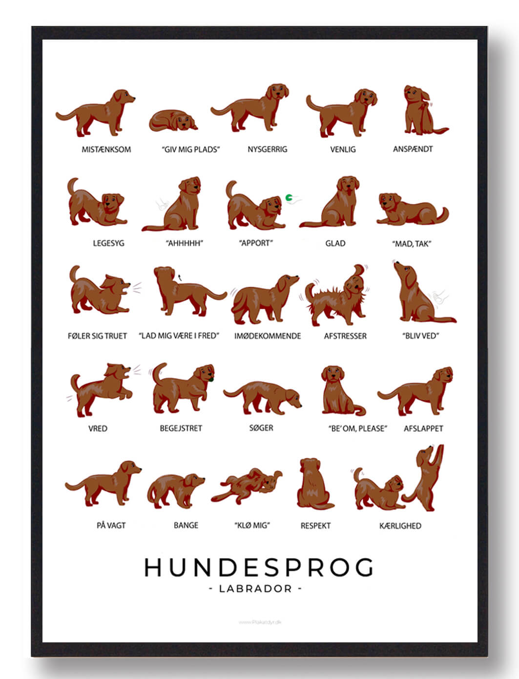 Brun Labrador Hundesprog Plakat - Plakatdyr.dk Happypet