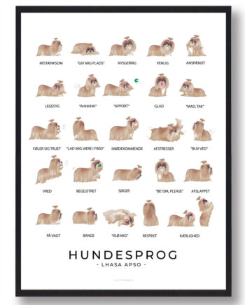 Lhasa Apso Hundesprog Plakat - Plakatdyr.dk Happypet