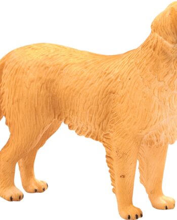 Mojo Golden Retriever Hund - Mojo Happypet  - 5031923871984