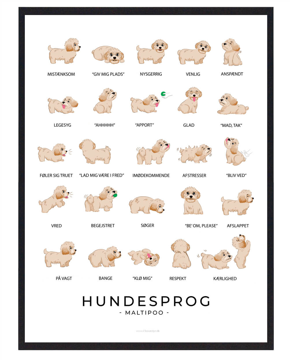 Maltipoo Hundesprog Plakat - Plakatdyr.dk Happypet