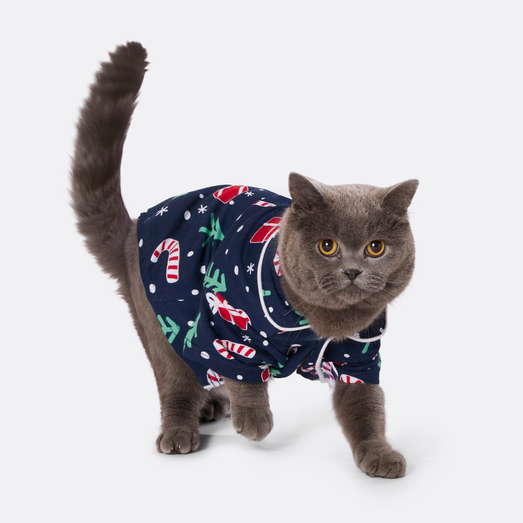 Blå Julemønster Julepyjamas Til Katte - Sillysanta Happypet  - 7073008440386