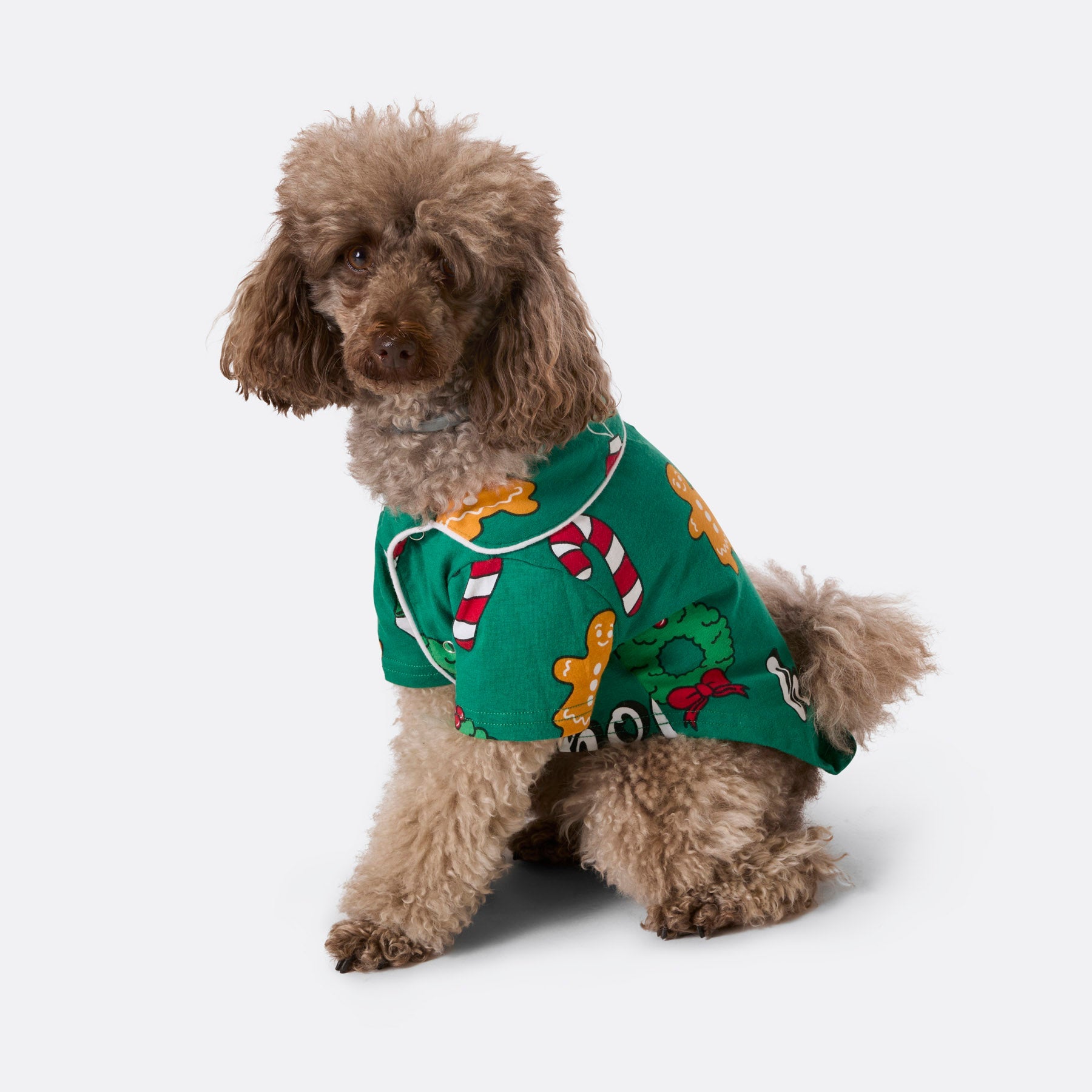 Grøn Hohoho Julepyjamas Til Hunde - Sillysanta Happypet - 7073008440263