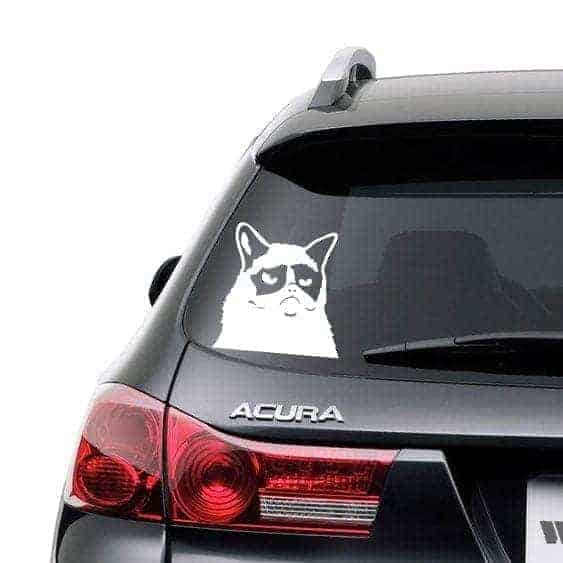 Sur Kat Wallsticker - Happypet