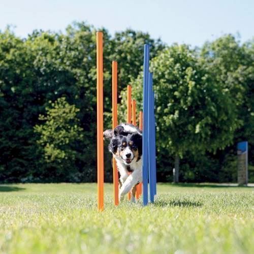 Agility Pinde Slalomstænger - Trixie Happypet - 4011905032061