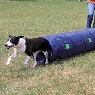 Agility Tunnel Lille Meter - Trixie Happypet - 4011905032108