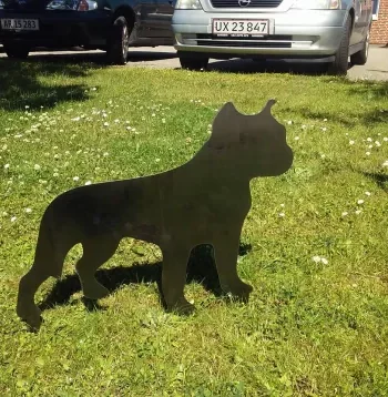 Hund Cortenstål Amstaff - Pschack Happypet