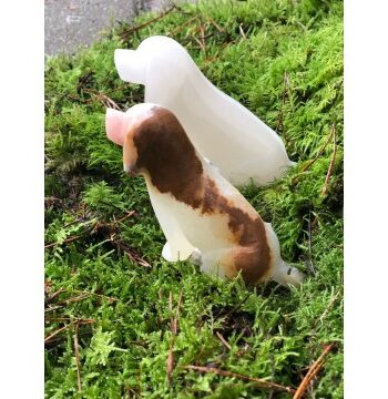 Arogonit Hund Krystaller Sten Div Godkarmashop - Stenguiden Happypet