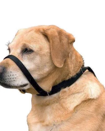 Canny Collar Anti Træk Grime Halsbånd Str - Canny Happypet  - 5060086560015