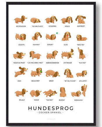 Cocker Spaniel Hundesprog Plakat - Plakatdyr.dk Happypet