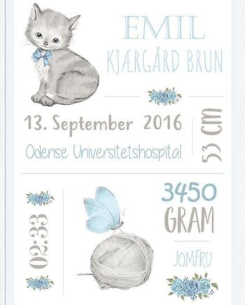 Dåbstavle Med Kat Personlig Fødselsplakat Til Den Lille Dreng - Unikplakat.dk Happypet