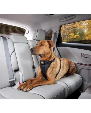 Kurgo Tru Fit Smart Sikkerhedssele Xsmall - Kurgo Happypet  - 813146012550