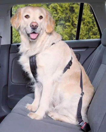 Sikkerhedssele Til Hunden Medium - Trixie Happypet  - 4011905012919