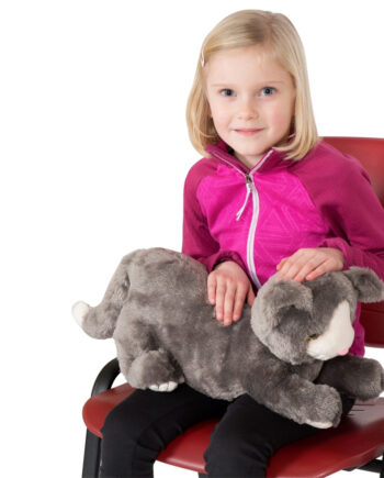 Tyngdedyr Kat Med Vægt - Manimo Happypet