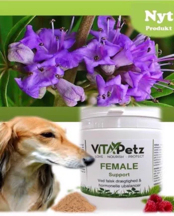 Vitapetz Female Support Mod Falsk Drægtighed 375g - Vitapetz Happypet  - 992886551139